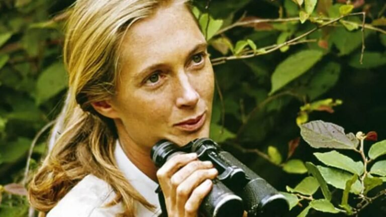 Jane Goodall’s Goodness and Legacy Live On Beyond Her 91 Years